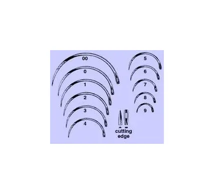 Anchor Products - 1832-5DC - Reverse Cutting Suture Needle Anchor Fistula Type Size 5 Needle Single Use