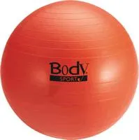 Changzhou Animate Toy - 10045ABCM - Body Sport 45 Cm (body Height 4'7" - 5') Slow Release Fitness Ball (exercise Ball), Purple
