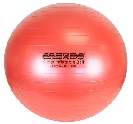 Fabrication Enterprises - 30-1964 - CanDo Inflatable Exercise Ball - Super Thick