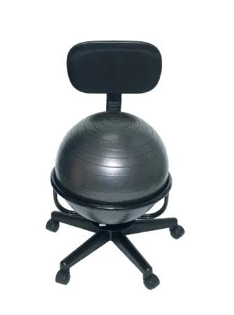 Fabrication Enterprises - 30-1791 - Cando Ball Chair - Metal - Mobile - With Back - With Arms - With 22" Black Ball