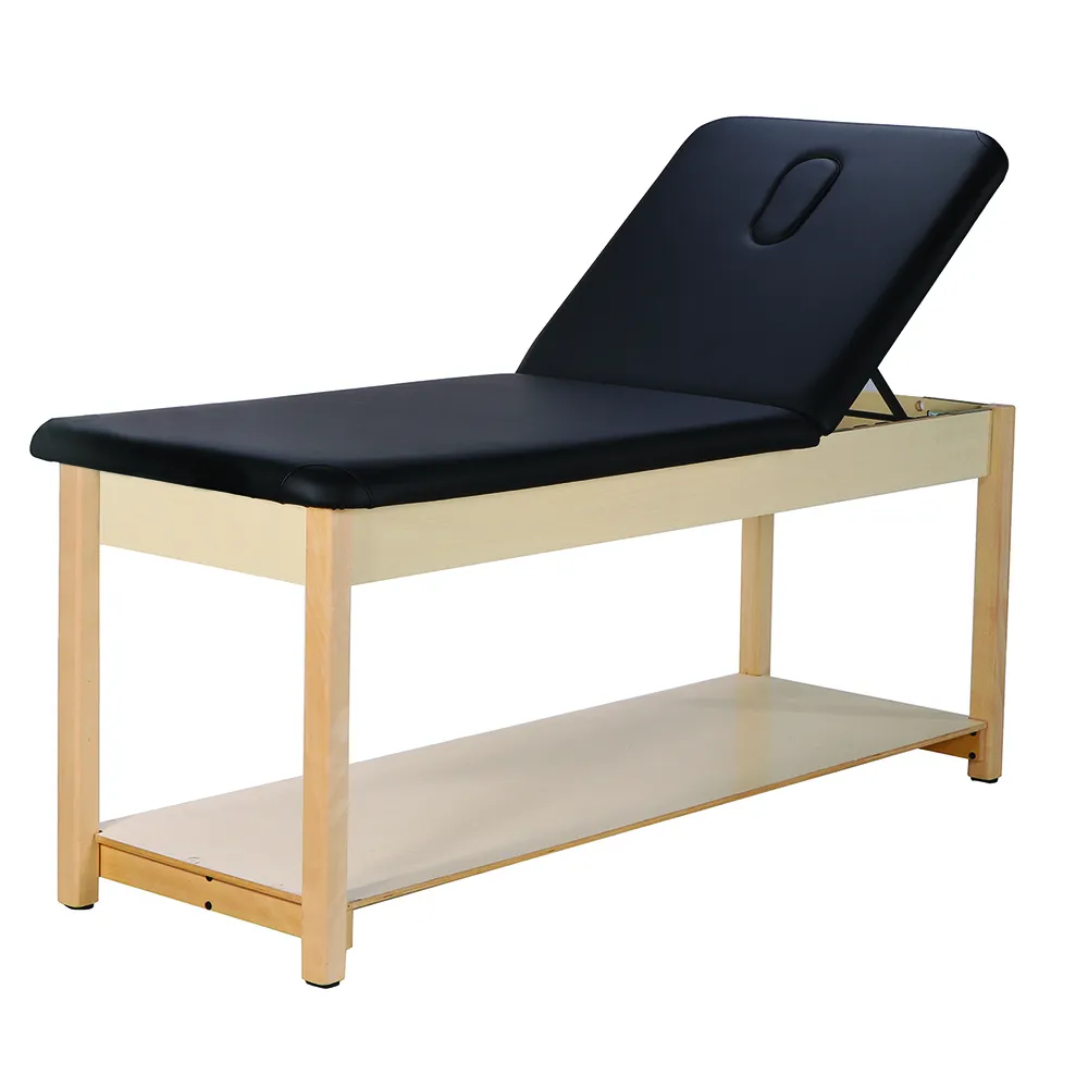 Bodymed - BDMTTAB2BLK - Treatment Table With Adjustable Backrest - Black