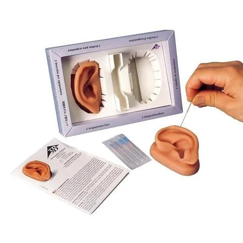 American 3B Scientific - N15 - 3B Acupuncture Ear Set