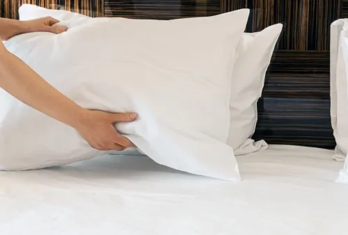 Apex - 1118 - Molding Pillow