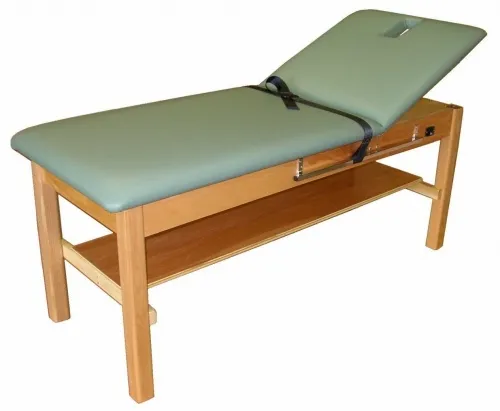 Bailey Manufacturing - 486 - Back Extension Treatment Table