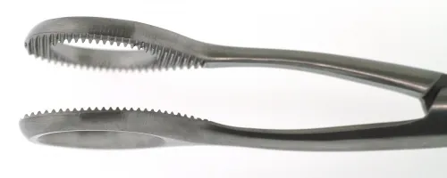 BR Surgical - BR48-25016 - Collin Tongue Holding Forceps