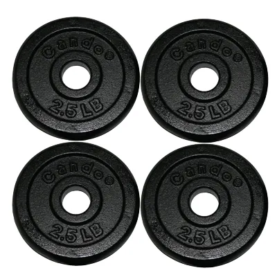 Fabrication Enterprises - 10-0601-4 - Iron Disc Weight Plates - 10 lb set (4 each: 2.5 lb weights)