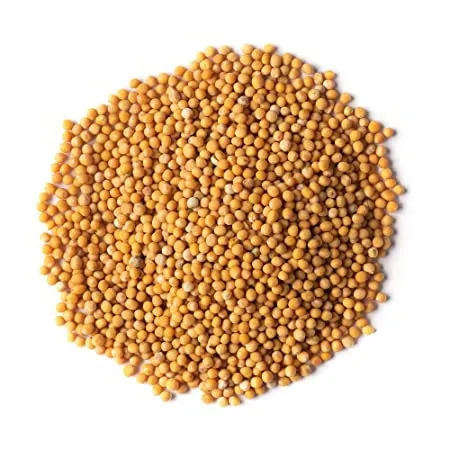 Frontier Co-op - KHFM00006316 - Mustard Seed Yellow