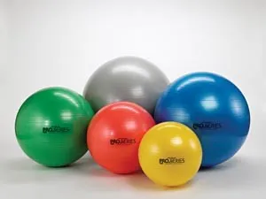 Hygenic - 23125 - PRO SERIES SCP &trade; Ball, For Body Height Bulk Case Balls in Poly-bags with 10 Instructional Poster (HY23125, 020707)