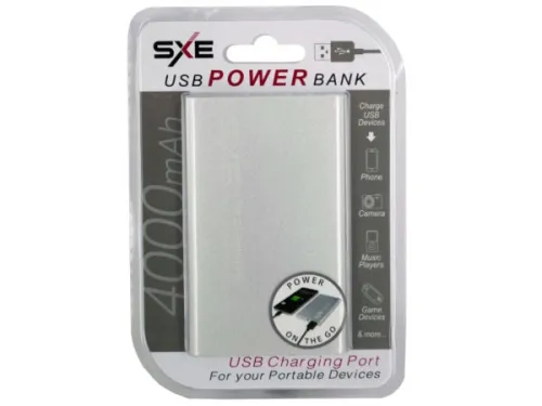 Kole Imports - EL651 - Silver 4000 Mah Usb Power Bank
