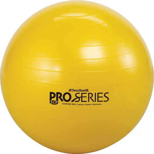 Hygenic - Thera-Band - From: 24945CMB To: 24975CMB - 23115 Pro Series Exercise Ball 45cm *bulk*