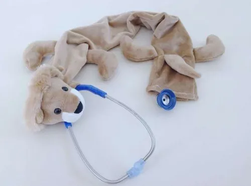 Pedia Pals - 100090 - Cover, Stethoscope Lion, Up To 24 Inch Long Fits Standard Stethoscopes