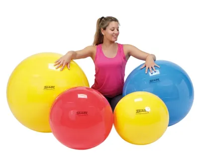 Fabrication Enterprises - From: 30-1700 To: 30-1724 - PhysioGymnic Inflatable Exercise Ball