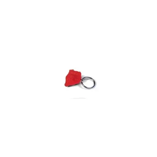American 3B Scientific - From: W40003 To: W40009 - Key Ring Heart